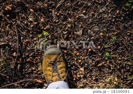 秋の散策 秋の散策 18100091