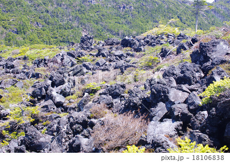 八ヶ岳の溶岩台地 18106838