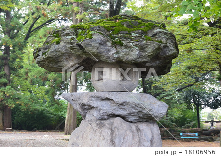 苔むした石灯篭(逢瀬神社/長野県上高井郡小布施町846) 苔むした石灯篭(逢瀬神社/長野県上高井郡小布施町846) 18106956