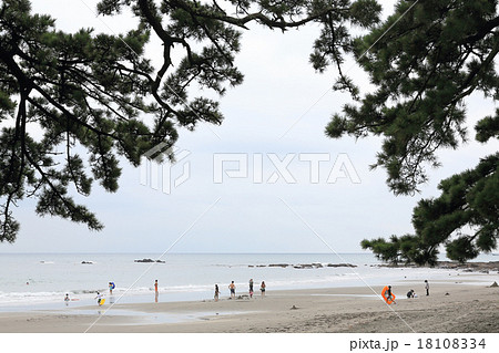 伊豆の海水浴場 伊豆の海水浴場 18108334