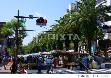 南国土佐の日曜市 南国土佐の日曜市 18109099