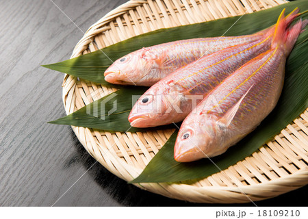 糸ヨリ 糸ヨリ 18109210