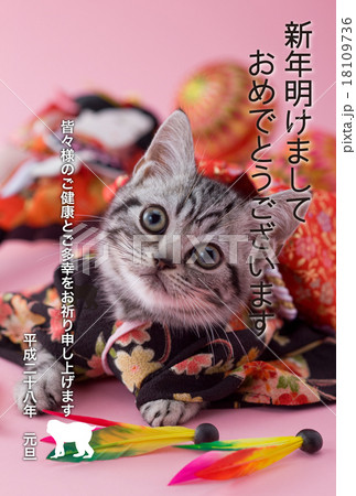 2016年賀状デザイン素材-子猫 18109736