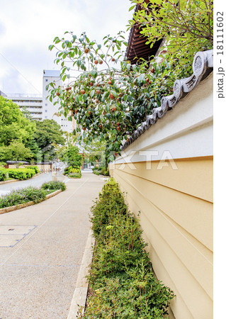 観光名所　博多区承天寺界隈　承天寺通り 18111602