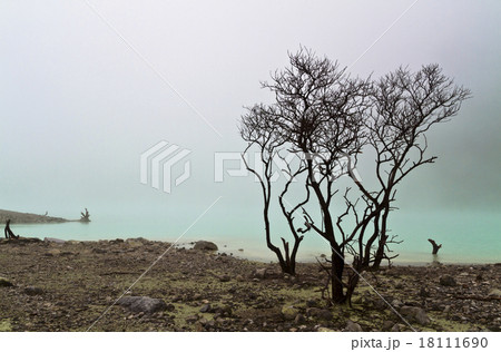 Calm Lake and dead Tree Calm Lake and dead Tree 18111690