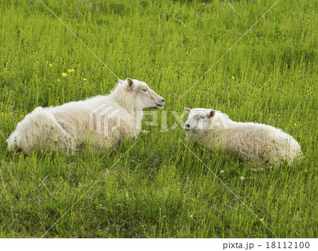 17518 17518 18112100