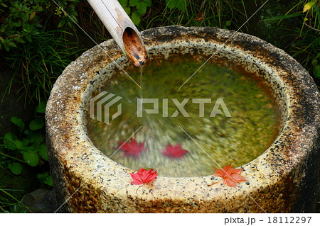 手水鉢の紅葉 手水鉢の紅葉 18112297