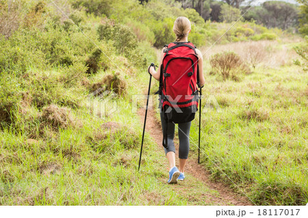 Blonde hiker hiking with trekking poles Blonde hiker hiking with trekking poles 18117017