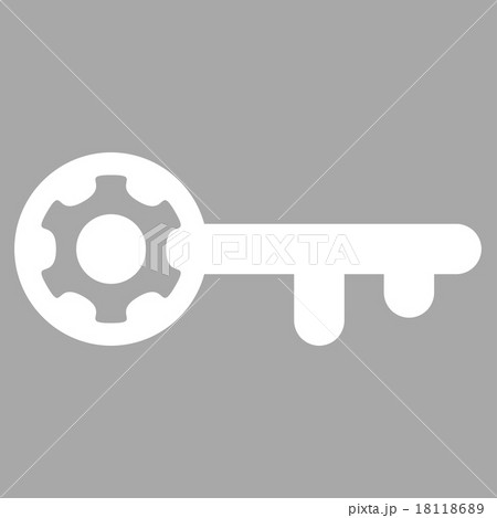 Key Options Icon Key Options Icon 18118689