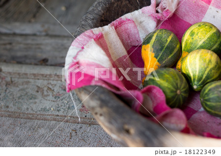 飾りかぼちゃ 18122349