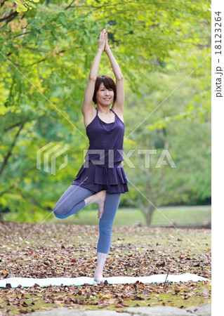 立木のポーズ 18123264