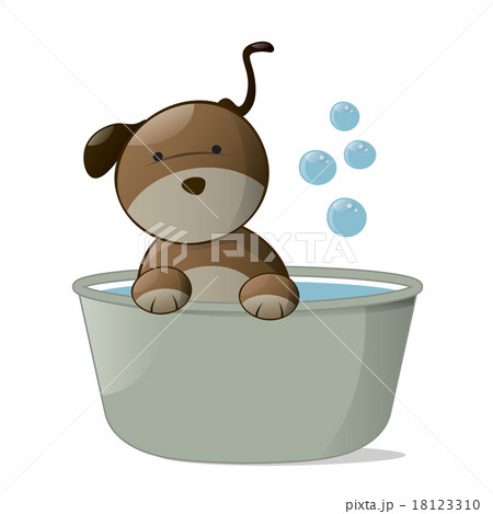 Wash Dog. 18123310