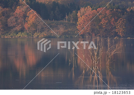 当別ふくろう湖の紅葉 18123653