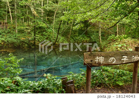 神の子池 18124043