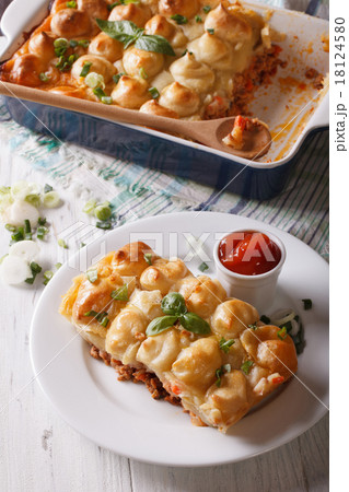 piece of a shepherds pie on the plate closeup 18124580