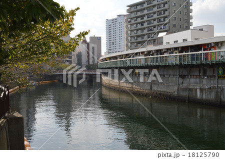 横浜、大岡川と一杯飲み屋 18125790