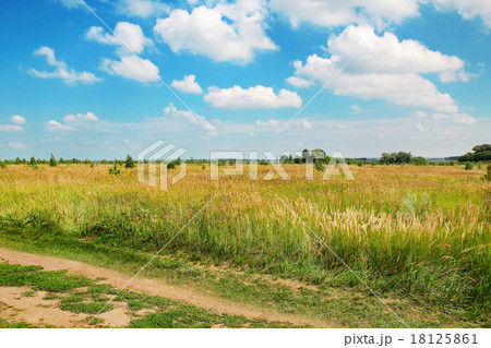 summer landscape with green grass, road and clouds 18125861