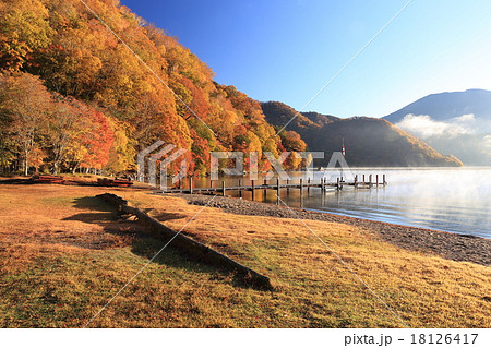 千手ヶ浜の朝　倒木 18126417