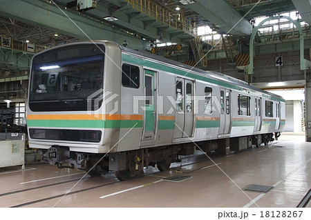 定期点検中の上野東京ラインE231系 18128267