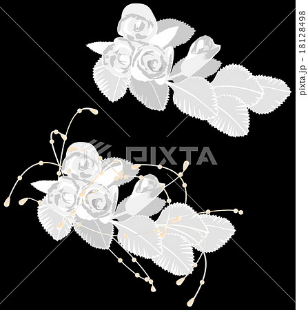 White roses isolated on black 18128498