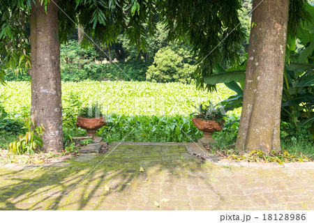 Uttara Gano Bhaban 18128986