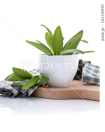Branch of fresh sage or salvia in bowl . Branch of fresh sage or salvia in bowl . 18129940