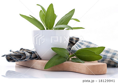 Branch of fresh sage or salvia in bowl . 18129941