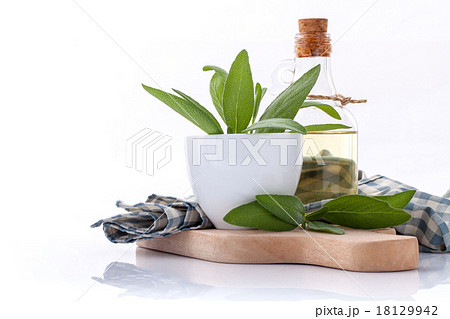 Branch of fresh sage or salvia in bowl . 18129942