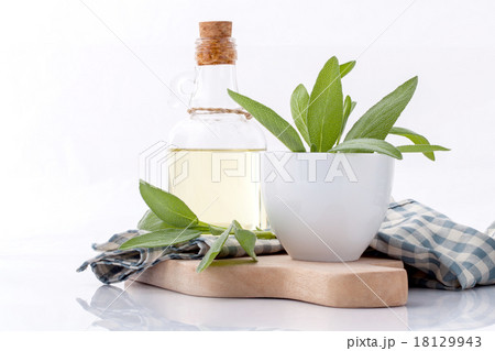 Branch of fresh sage or salvia in bowl . 18129943