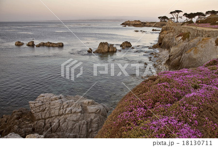 Monterey Coast California 18130711