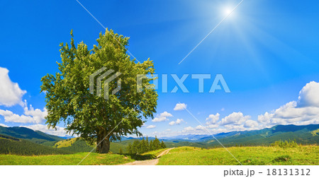 Summer mountain panorama. 18131312