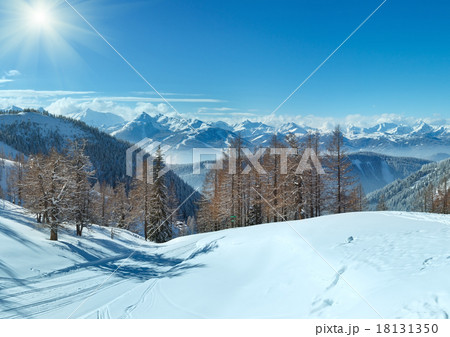 Winter grove near Dachstein mountain massif Winter grove near Dachstein mountain massif 18131350