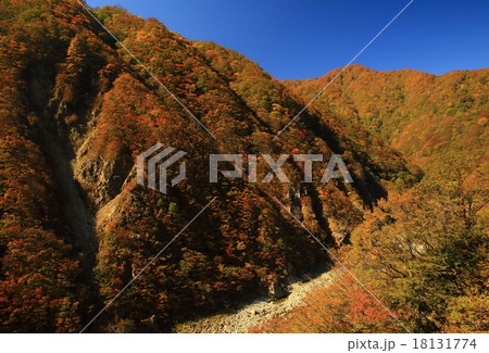 紅葉の錦秋湖の写真素材