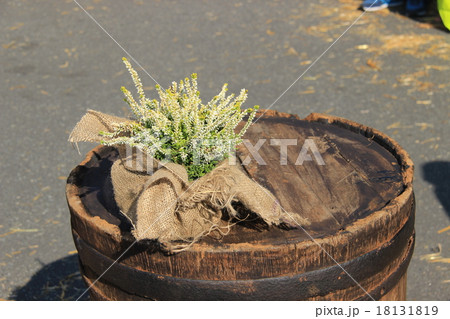 Summer flowers in a wooden barrel Summer flowers in a wooden barrel 18131819