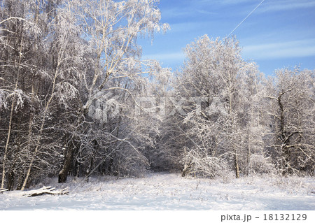 landscape in snow against blue sky. Winter scene. landscape in snow against blue sky. Winter scene. 18132129