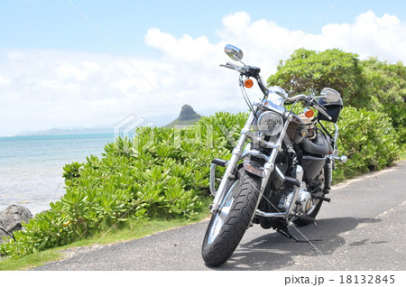 ハワイでハーレー 18132845