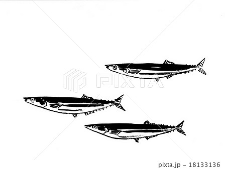 さんまのイラスト素材