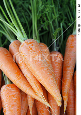 蔵王の新鮮野菜 にんじんさん 蔵王の新鮮野菜 にんじんさん 18133138