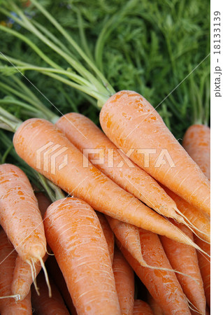蔵王の新鮮野菜 にんじんさん 蔵王の新鮮野菜 にんじんさん 18133139
