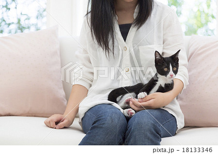 A Cat On A Lady S Knee Stock Photo