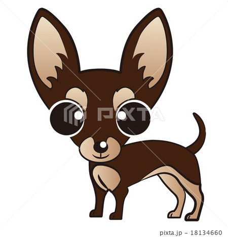 チワワ犬のイラスト素材