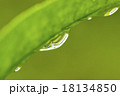 水滴 18134850