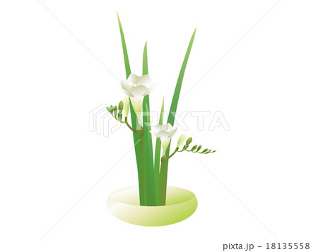 フリージアのアレンジメント 18135558