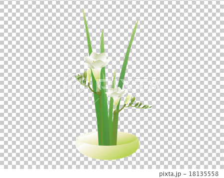 フリージアのアレンジメント 18135558