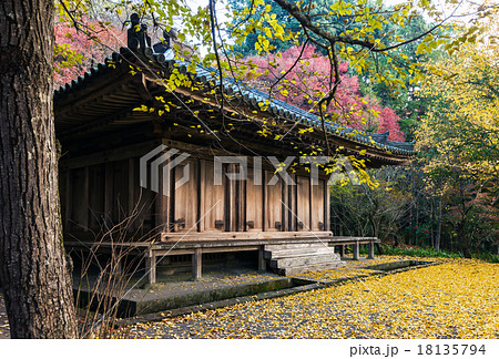 国宝 富貴寺の紅葉の写真素材