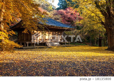 国宝 富貴寺の紅葉の写真素材