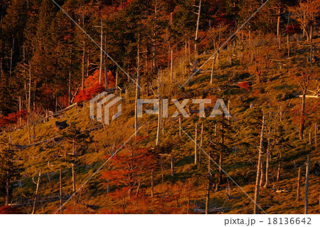 正木峠の朝焼け（奈良県吉野郡上北山村） 18136642