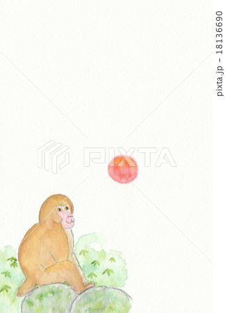 水彩　猿 18136690