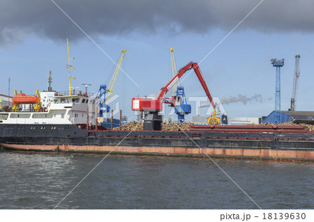 Timber unloading in port Timber unloading in port 18139630