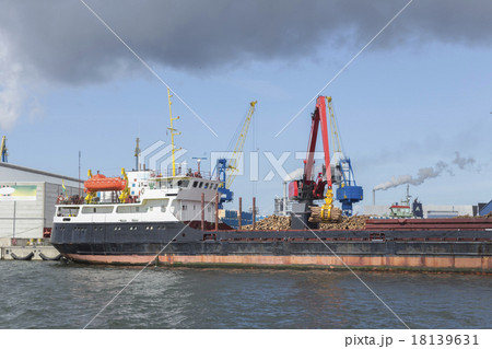 Timber unloading in Wismar 18139631